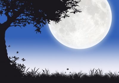 Mensajes De Buenas Noches Para mi Amor | Frases De Buenas Noches - Mensajes De Buenas Noches Para mi Amor | Frases De Buenas Noches -