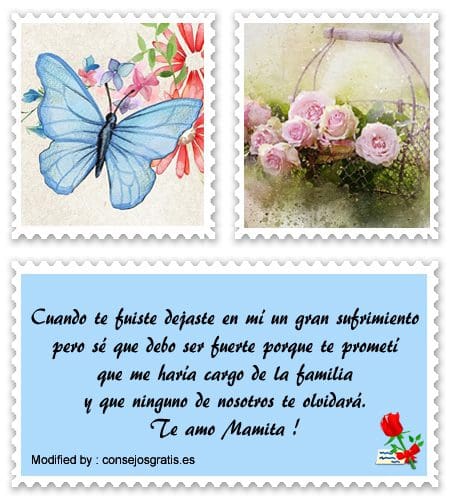 My Image 24
