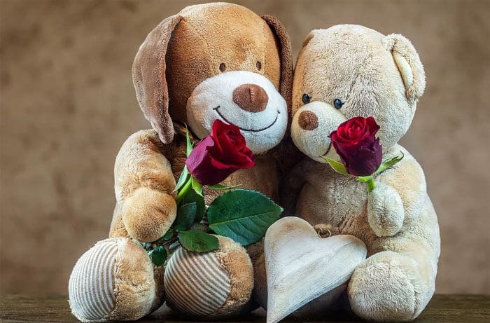 Peluches Con Frases De Amistad, Buy Now, Sale, 60% OFF, Peluches Con Frases De Amistad, Buy Now, Sale, 60% OFF,