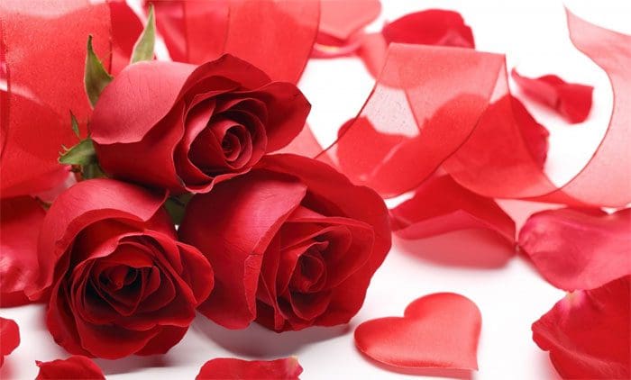 Descargar Mensajes Por El Día De La Mujer│Lindos Pensamientos Por El Día De La Mujer Descargar Mensajes Por El Día De La Mujer│Lindos Pensamientos Por El Día De La Mujer