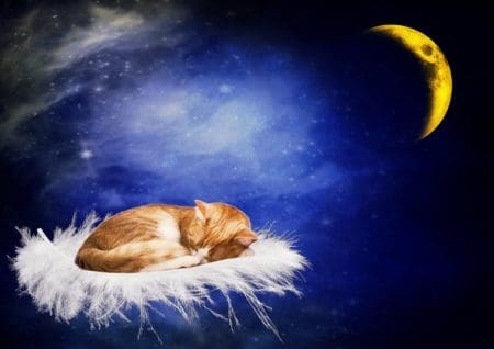 Bonitos saludos de buenas noches para mi amor | Textos romanticos de buenas noches Bonitos saludos de buenas noches para mi amor | Textos romanticos de buenas noches